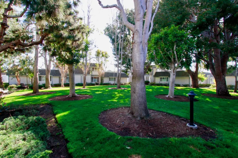 Mariners Cove West lawn with trees and grass on a sunny day.