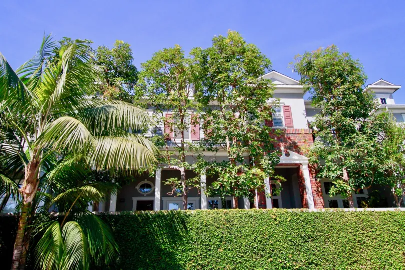 Mystic Pointe apartments with trees and bushes on a sunny day.
