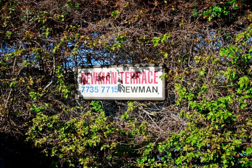 A Newman Terrace street sign with plants surrounding it