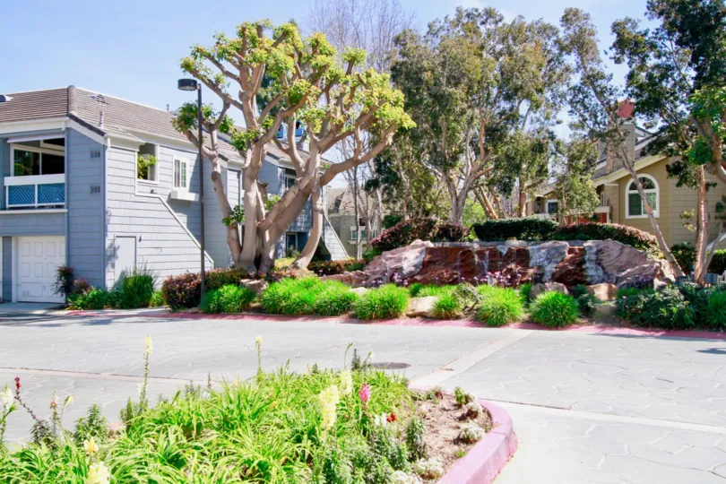 Pacific Ranch Townhomes street with trees and a stone wall on a sunny day.