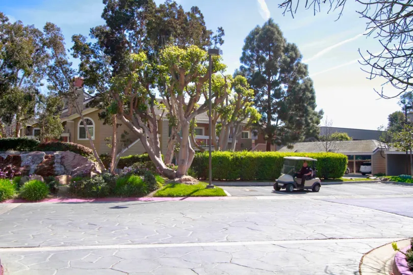 Pacific Ranch Townhomes street with a golf cart and trees on a sunny day.