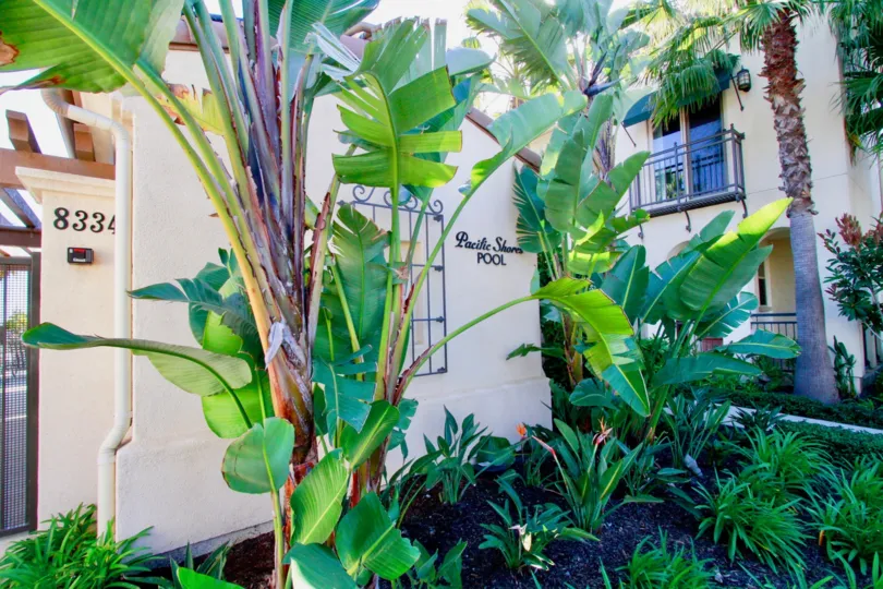 Pacific Shores buildings with plants and palm trees.