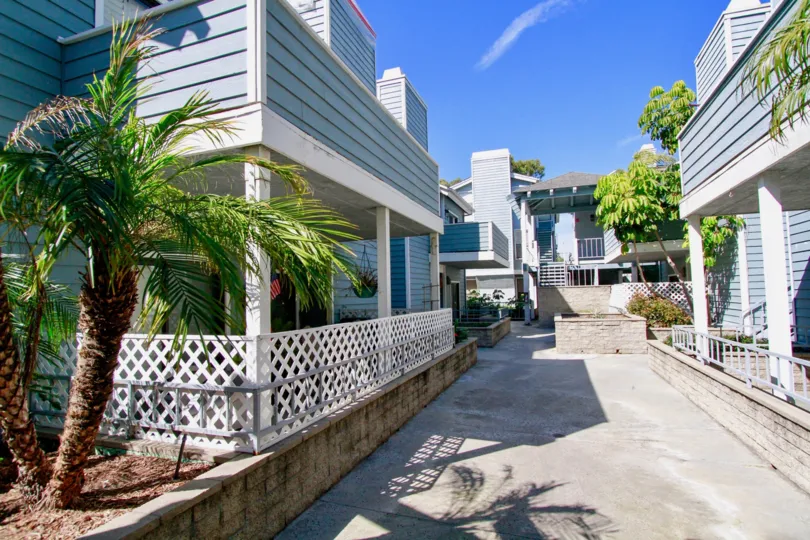 A sunny day in the Pelican Cove with clean street and trees, plants.