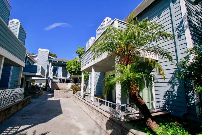 Pelican Cove street with apartment buildings on either side with palm trees.