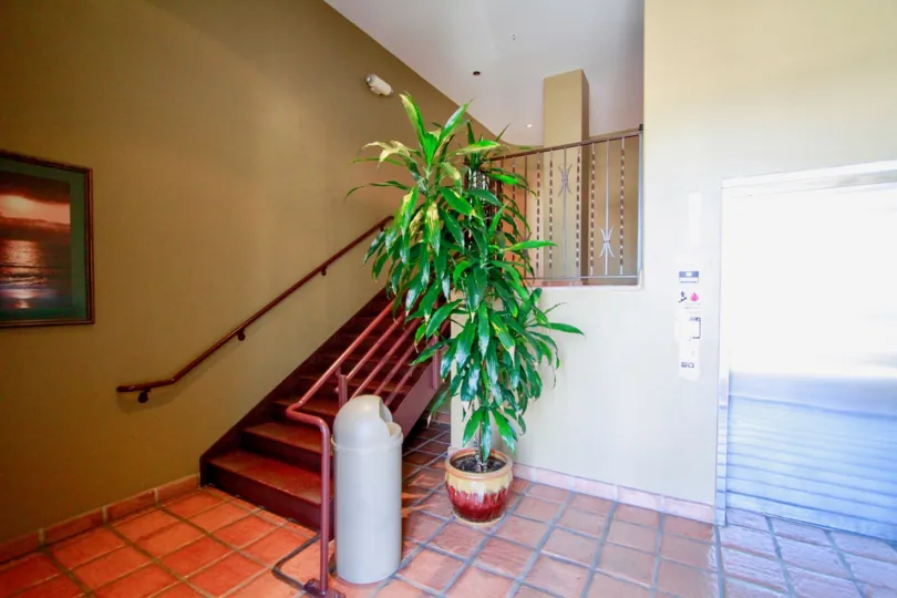 Plaza Almeria entrance with a green plant next to an elevator and a garbage can with red stairs.