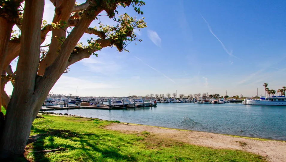 Fabulous Lake with sunshine and trees having boating in Portofino Cove of Huntington Beach