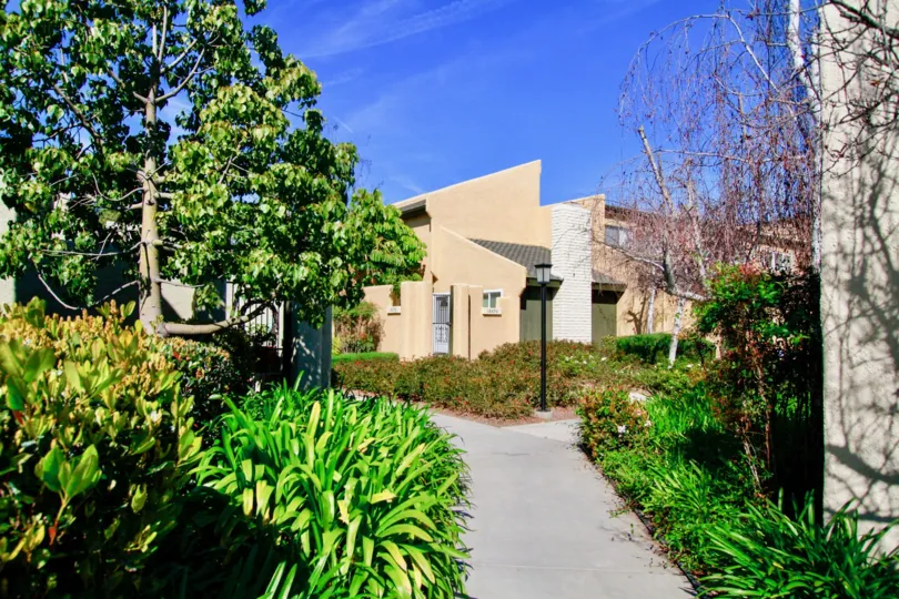 Walkway between townhomes in Sea Breeze Village. Surrounded by bushes and trees