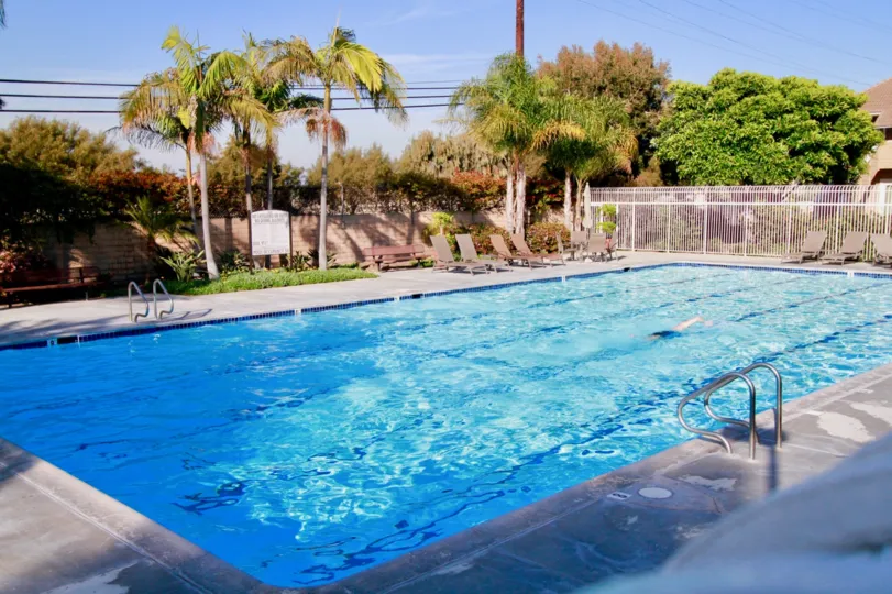 Seagate pool with deck chairs and palm trees surrounding it.
