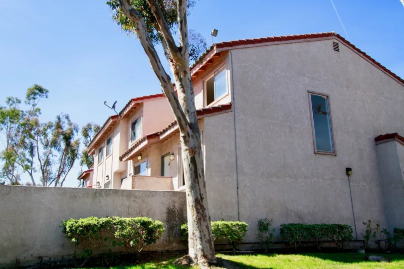 THE HOUSE WITH A WALL AND A TREE INSIDE THE HOUSES AND ALSO OUTSIDE OF THE HOUSE MORE WINDOWS ALSO AT THE APARTMENTS