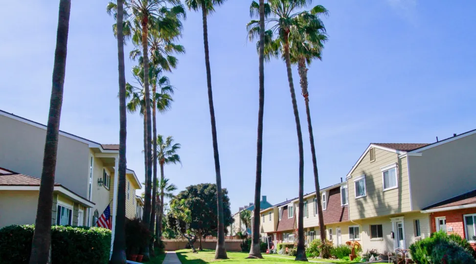 Surfside homes with a sidewalk and palm trees on a sunny day.