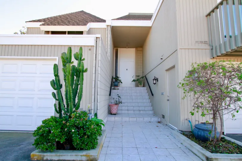 THE HOUSE WITH THE ENTRANCE STEPS AND THREE FLOWER WASHES AT THE STEPS SOME PLANTS ALSO NEAR TO THE HOUSE A ROOF TOP ALSO THERE.