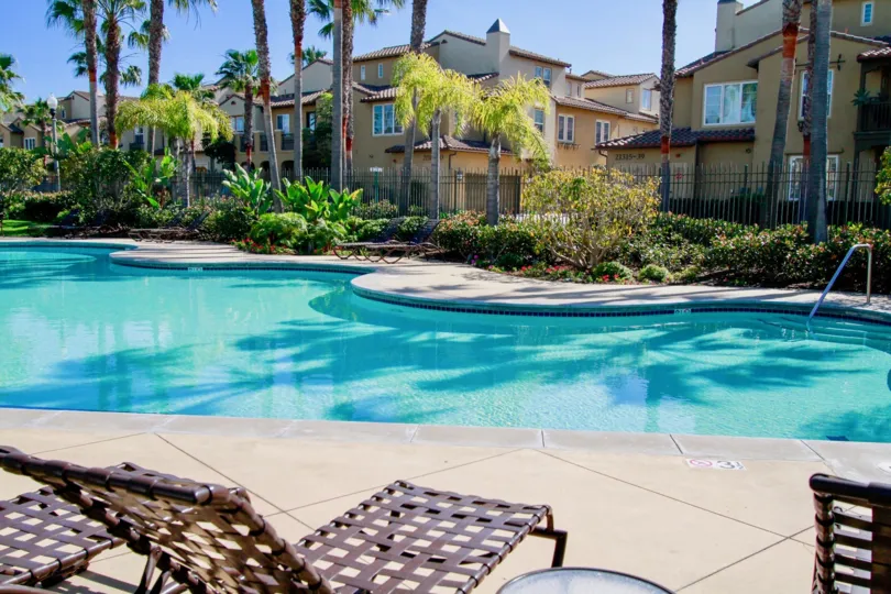 The Waterfront pool with palm trees and deck chairs on a sunny day.