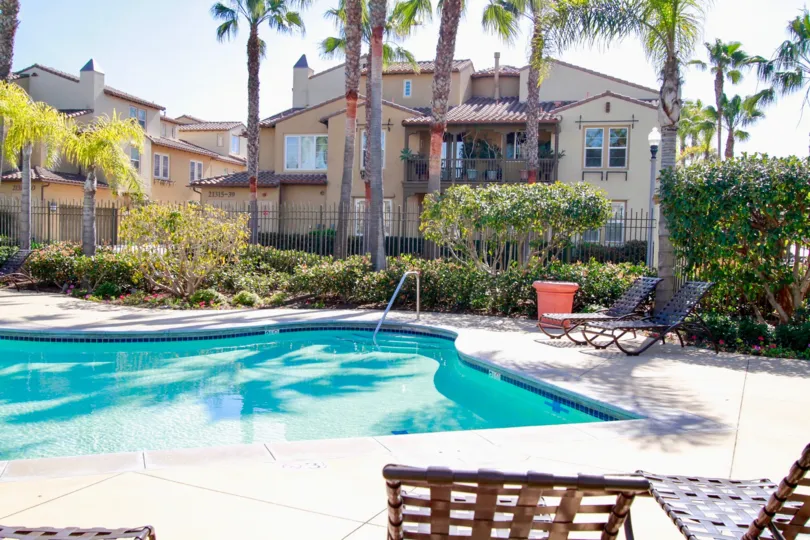 A swimming pool in the The Waterfront with big buildings, palm trees, ornamental plants.