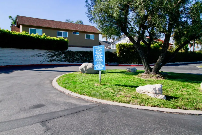 the large neem tree in front of a home and center of the road in villa pacifica of california