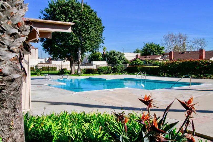 Excellent looking swimming pool with trees and garden in Villa Pacifica of Huntington Beach