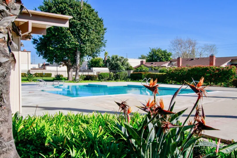 Villa Pacifica pool with bushes and a fence on a sunny day.