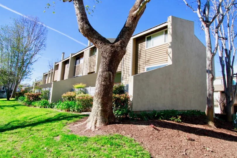 the smart houses which is in village court are look lovely with that tree in huntington beach, california