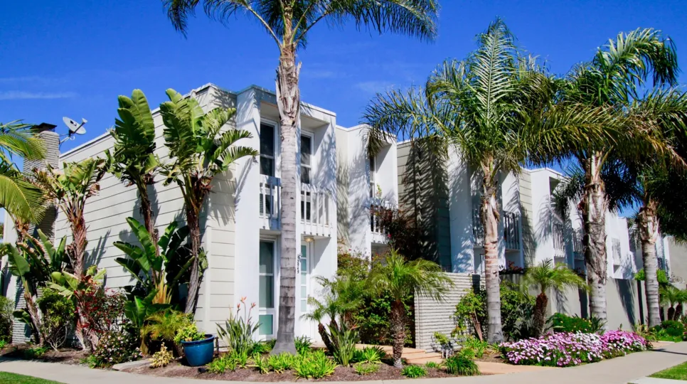the line of baboo trees which stand in front of the hotel like bulding in huntington beach california