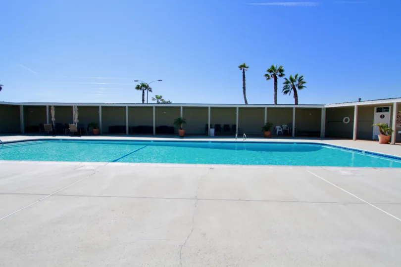 Weatherly Bay pool with potted palm trees and deck chairs on a sunny day.