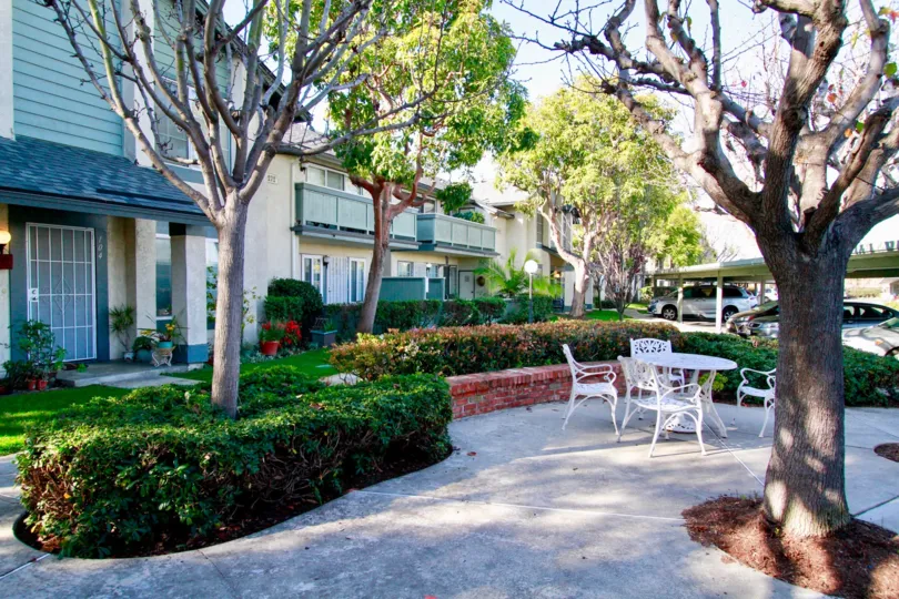 Windward Cove courtyard with chairs and a table on a sunny day.