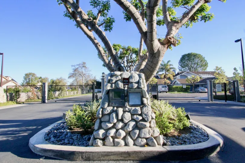 This massive cedar is a significant component of the cemetery landscape. It is a clean and clam place where you can visit to get peace.