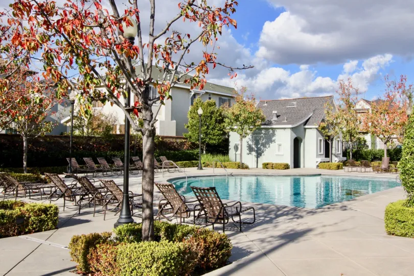pool in front of an villa with chairs around and green ambient