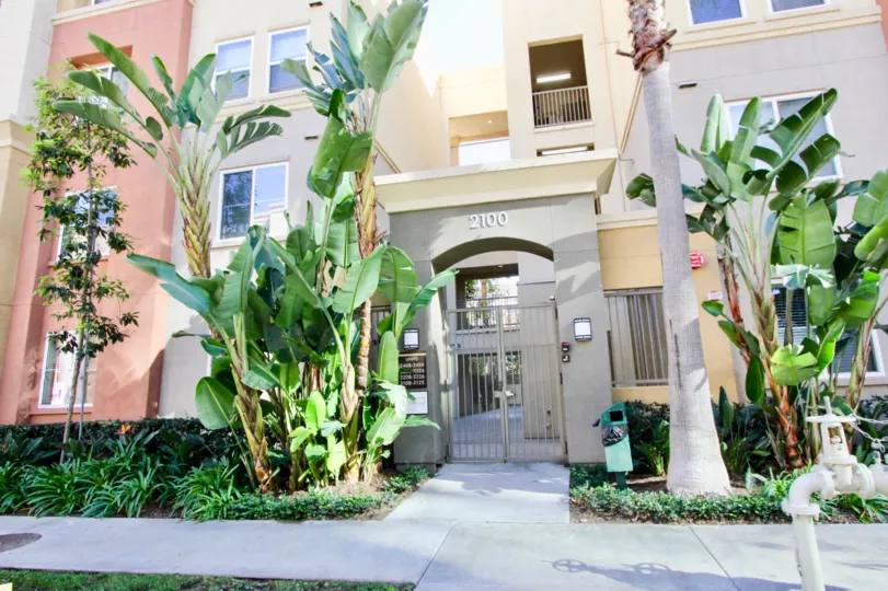 A sunny day in Avenue One with a building behind a security gate and palm trees.