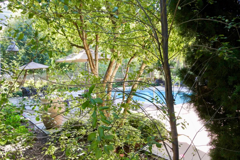 Canyon's Edge homes are located in the Turtle Ridge area of Irvine, California. The Canyon's Edge gated community was built between 2003 to 2005 and features two to four bedroom condos that range in size from 1, 993 to 2, 743 square feet. Canyon's Edge ho