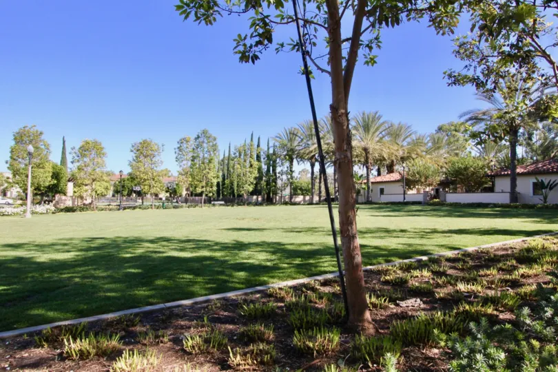 Fabulous view of lawn and trees near villas in Coronado of Irvine