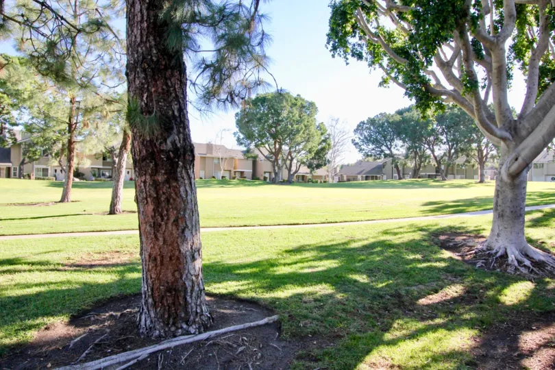 The beautiful moments of my life never before in Irvine California with a good infrastructure