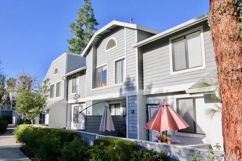 A sunny day in Horizon with grey houses, trees and clear blue sky.