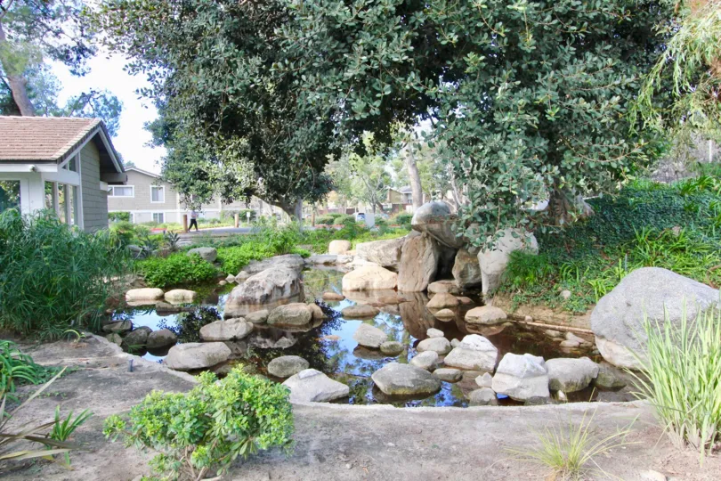 A man is walking in the road of Irvine Springs and addition to has rock with water in house