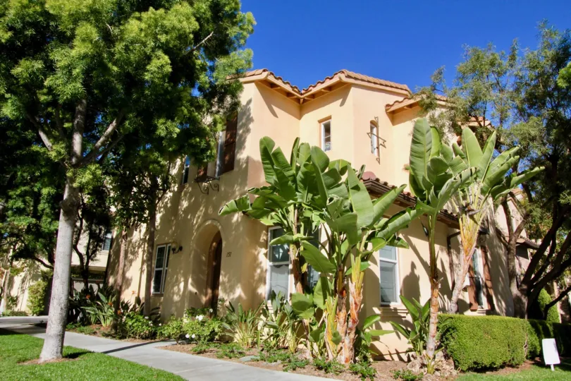 A sunny day in the ivy wreath with beautiful villa and lots of plants and trees.