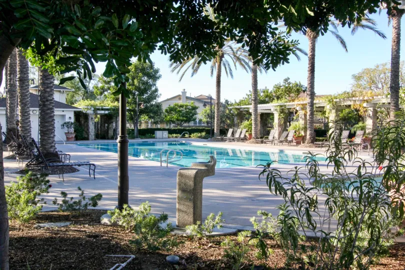 The beautiful moments of my life never before in Irvine California with a good infrastructure