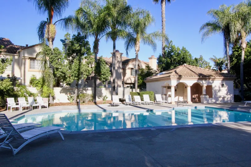 In Las Palmas, Swimming pool with seating chairs and tall trees