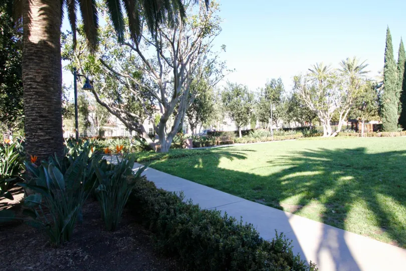 Pathway in the Lombard Court has meadows with tall trees and plants