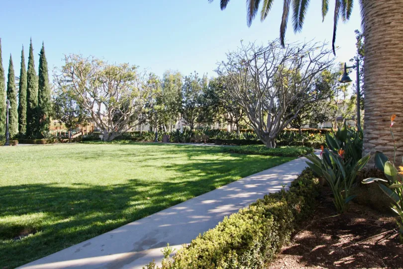 THIS IMAGE REPRESENTS THE GARDEN WITH LOT OF PLANTS, TREES WHICH IS IN LOMBARD COURT COMMUNITY