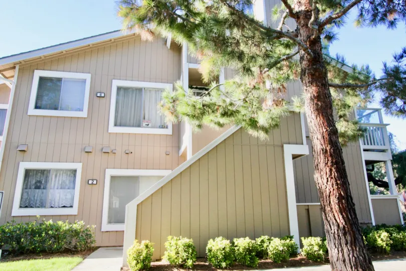 a warm day in the Northwood Timberline with a building that has numbered as 2 in the ground floor and 4 in the first floor with glass windows on the either side of the numbers