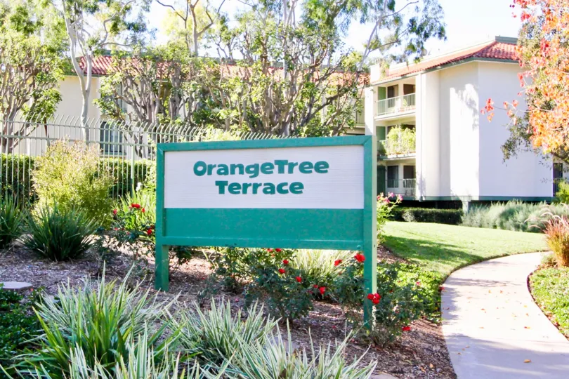 a warm day in the orangetree terrace with a building that has roofless top and garden around