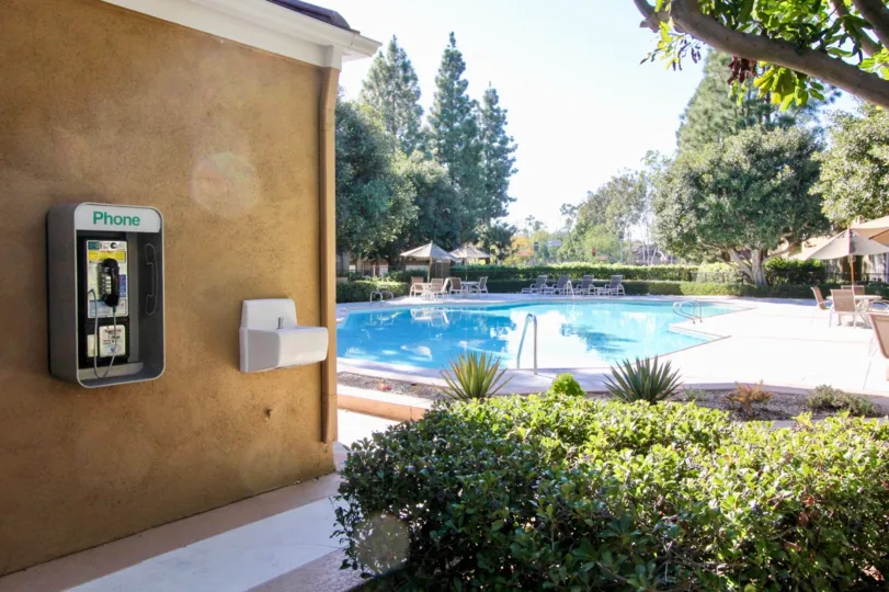 A sunny day in the area of Oxford Court, telephone, pool, beach chairs, trees, outside