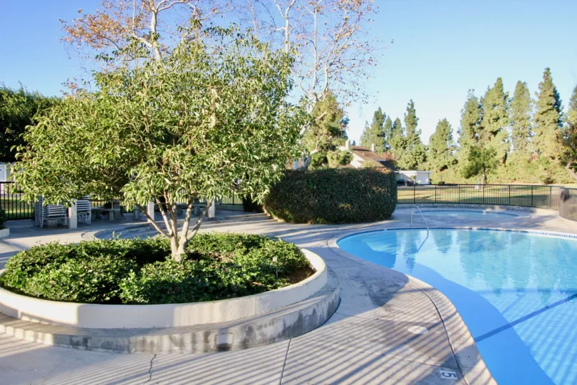 Swimming Pool is placed near the bushes and plants with seating benches in Park Homes