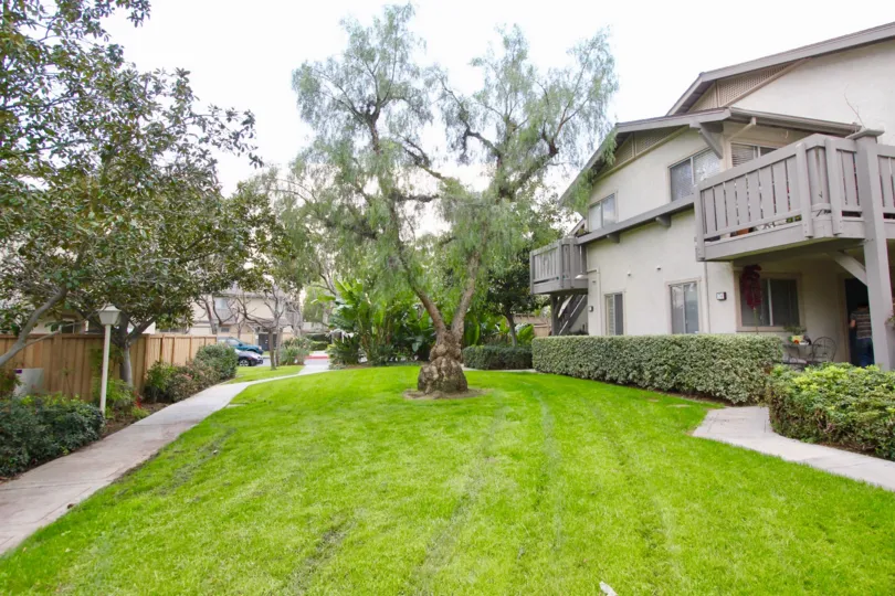 Infront of the house in Park Vista is full of meadows and two trees are growing in attach at center of meadow