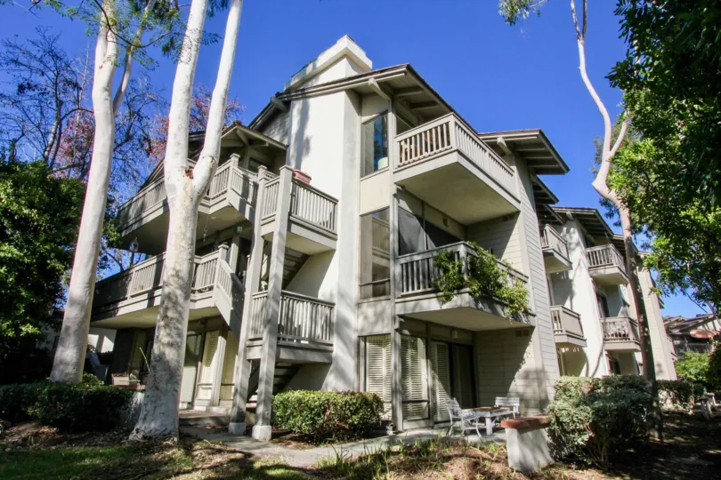 THIS IMAGE SHOWS THE APARTMENTS WITH LOT OF PLANTS, TREES LOCATED IN IRVINE CITY