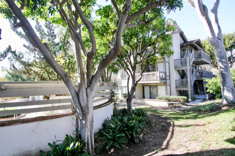 A well maintained large lawn complete with a pool and hottub, pretty trees, 3 apartments in each unit, lots of natural light, in Rancho San Joaquin Townhomes, Irvine, California
