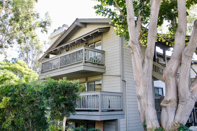 A big tree in front the building and plant around the building in Rancho San Joaquin Townhomes
