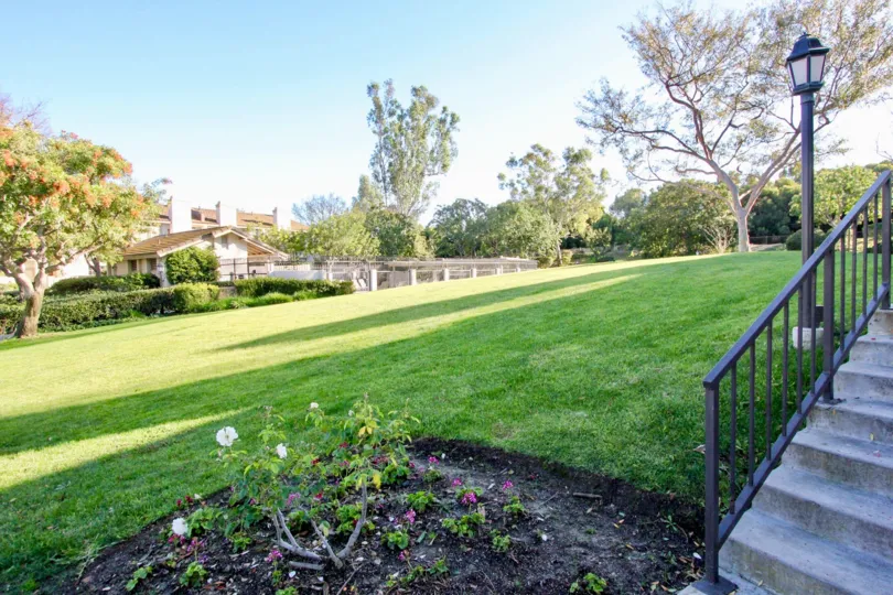 Awesome Park area with lawn and trees in Ridge Townhomes Bren of Irvine