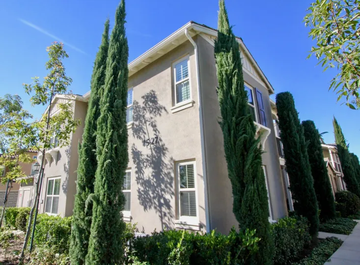 Nice Conical shaped trees in front of villas in Santa Rosa of Irvine