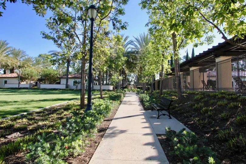 A path and large trees in the park at Santa Rosa in Irvine, CA on a sunny day