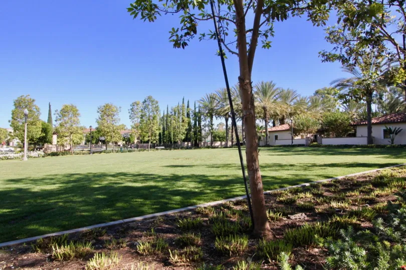 Nice park with lawn and trees having sunshine near villas in Santa Rosa of Irvine