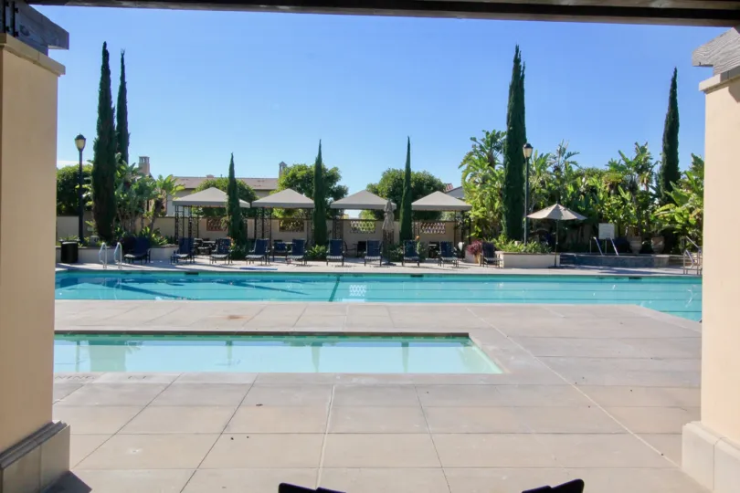 Big swimming pool is placed in Santa rosa with seating chairs and tallest trees